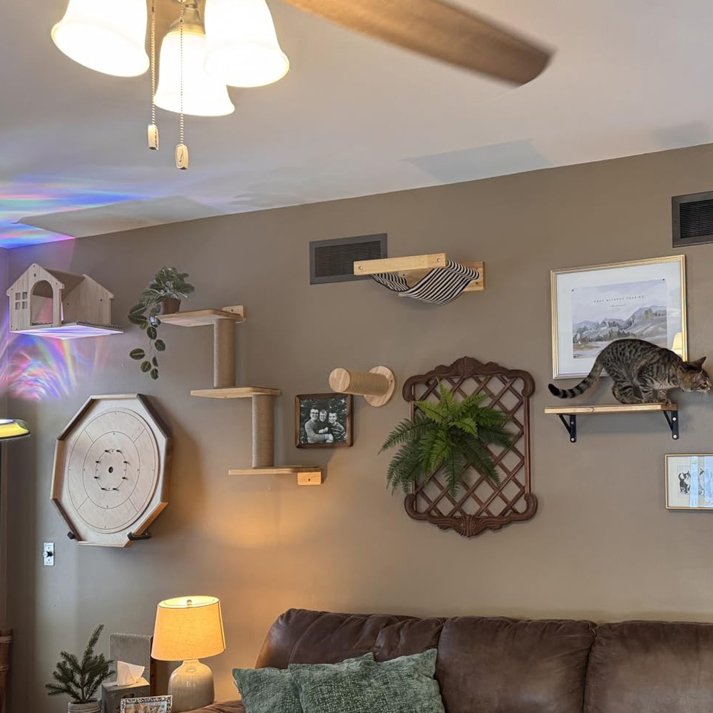 Cat Furniture Solid Wooden Sus - огляд і ціна Furniture Paradise & Hardware Ghaziabad Photos